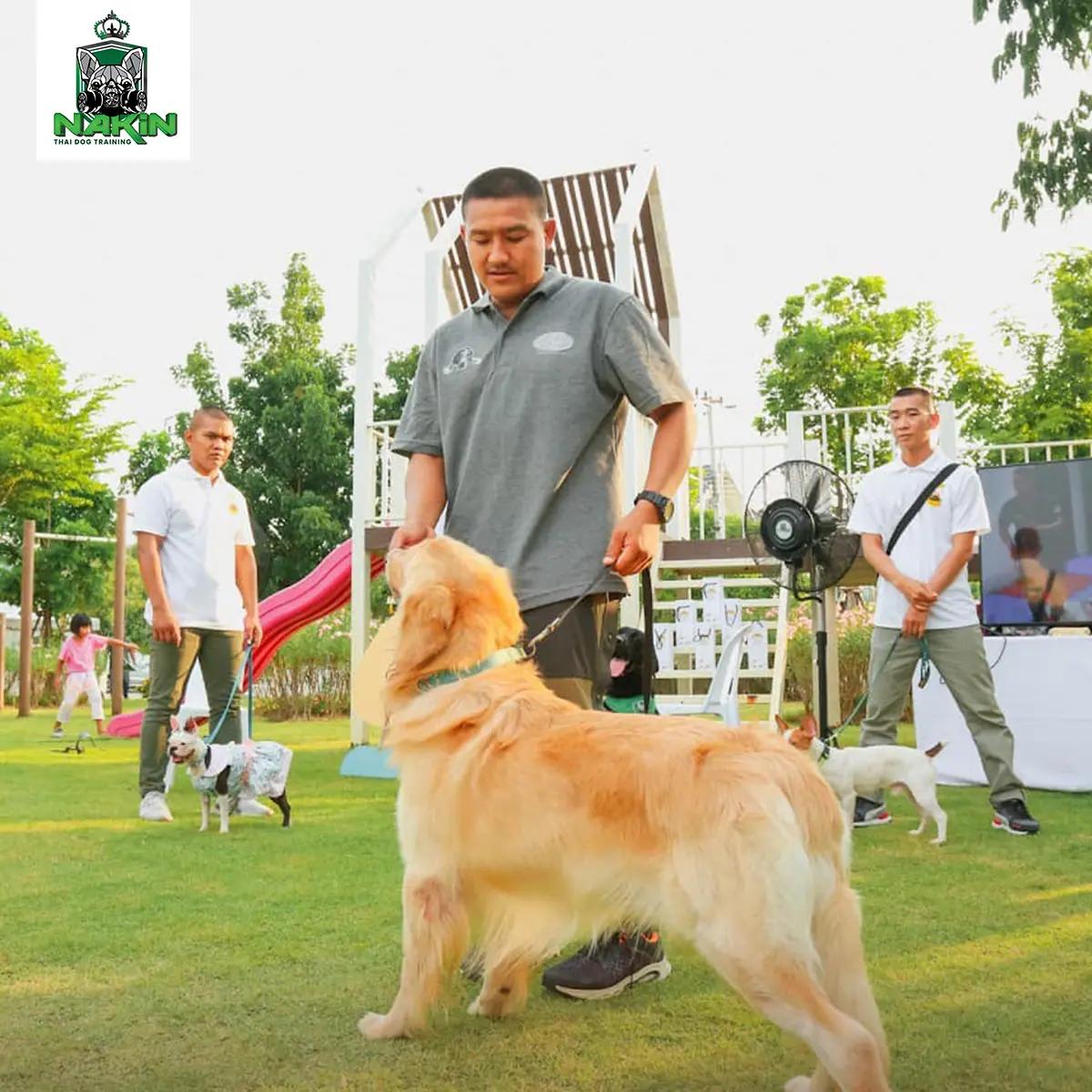 คอร์สการฝึกและปรับพฤติกรรม รายเดือน (พักห้องพัดลม)