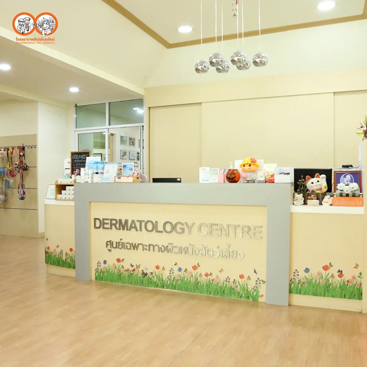 บริการอาบน้ำ (สำหรับสุนัข) ราคาโปรโมชั่น