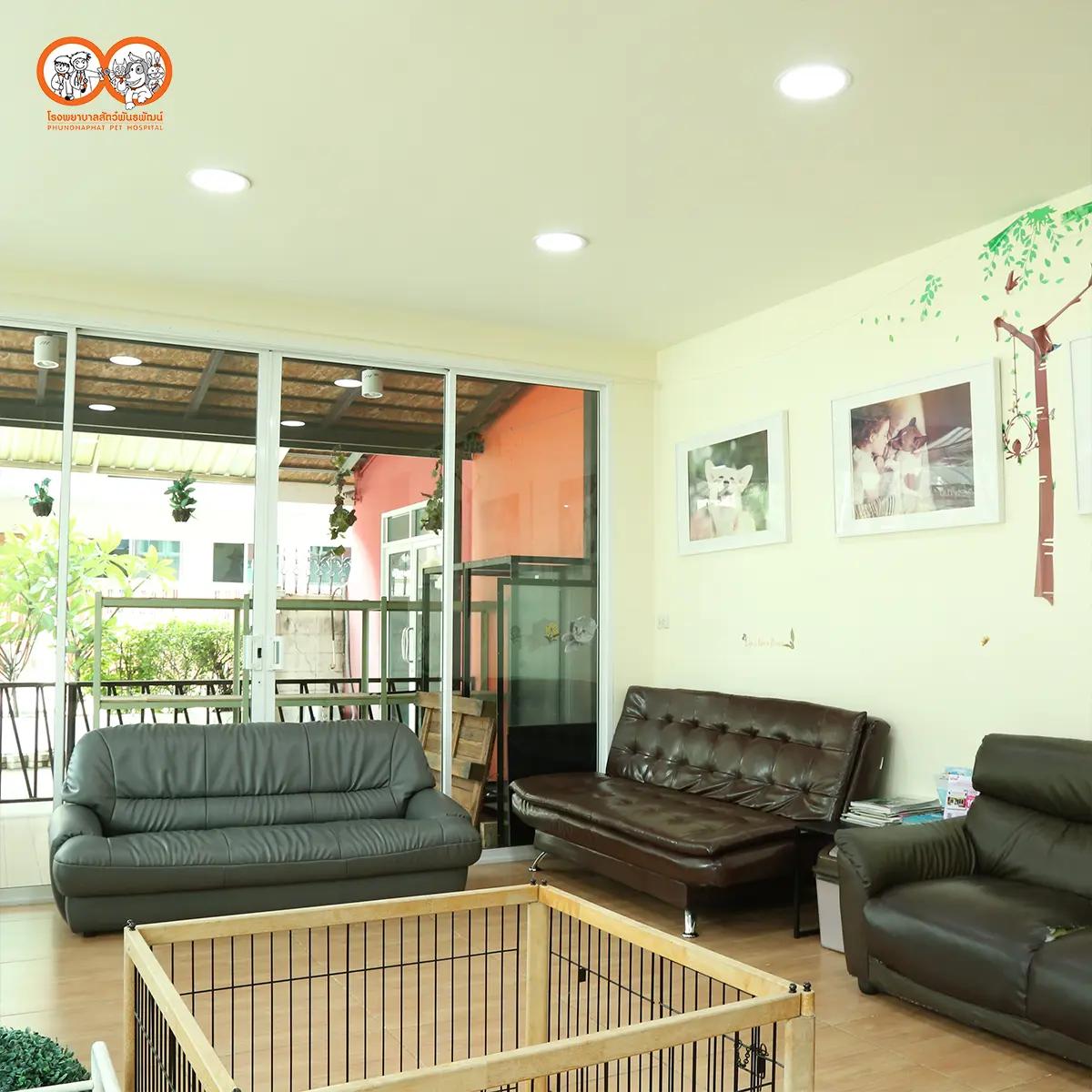 บริการอาบน้ำ - ตัดขน สำหรับแมว