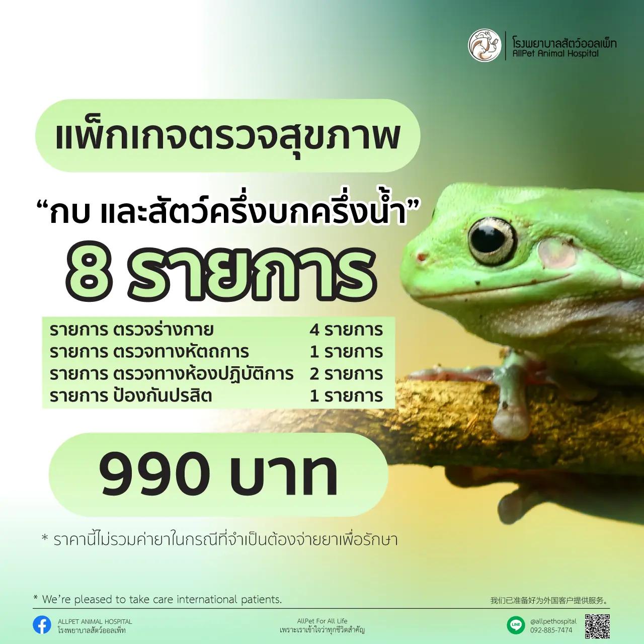 แพ็คเกจ ตรวจสุภาพ กบ และสัตว์ครึ่งบกครึ่งน้ำ
