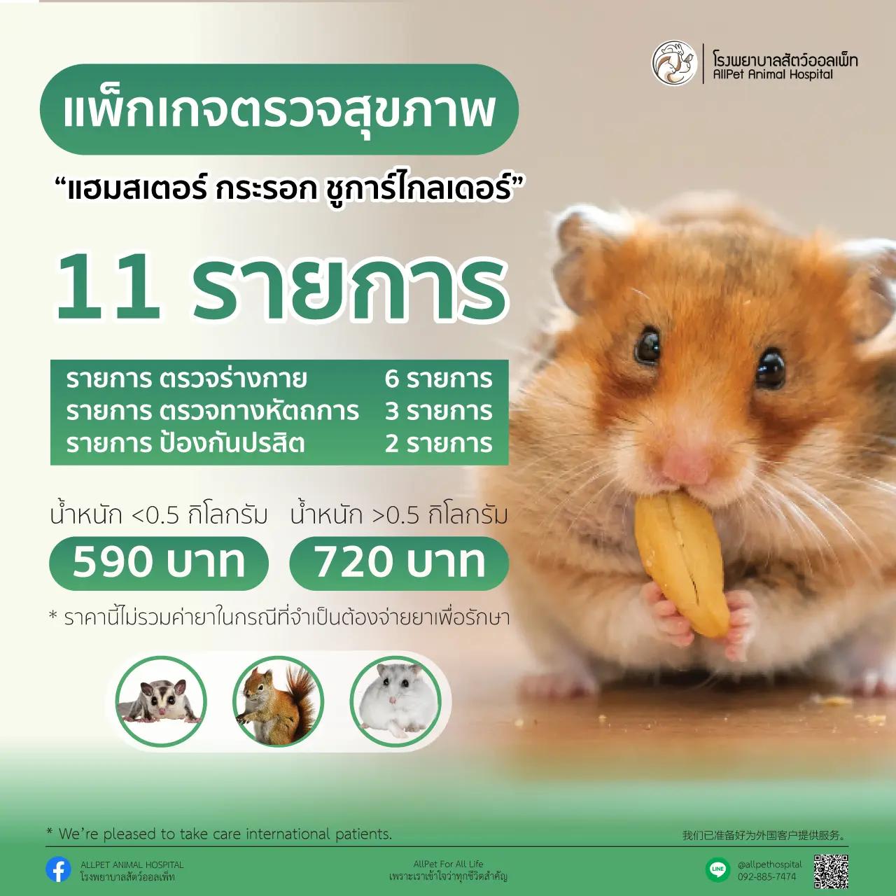 แพ็คเกจ ตรวจสุภาพ แฮมเตอร์ชูการ์ไกลเดอร์ และกระรอก น้ำหนักน้อยกว่า 05 กิโลกรัม