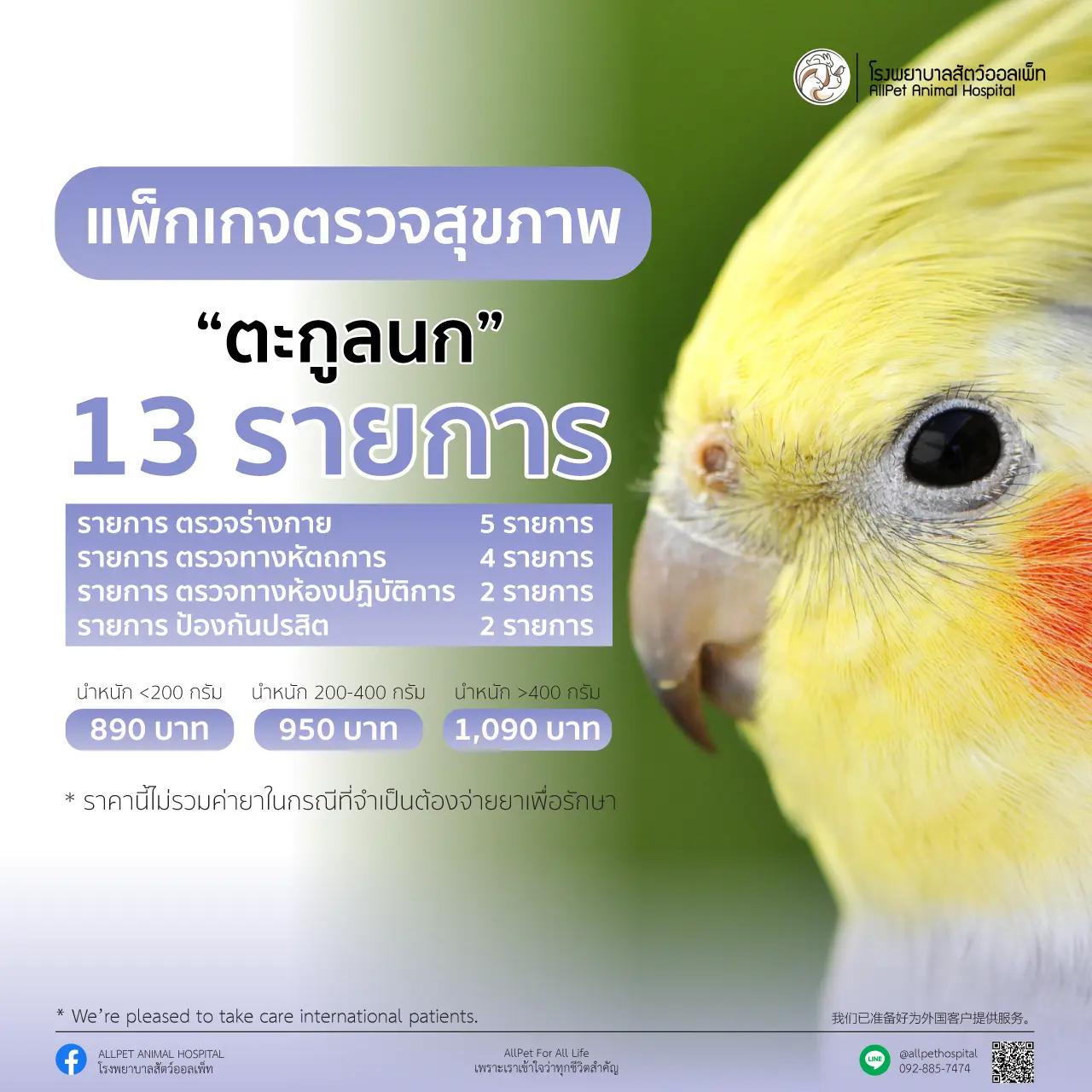 แพ็คเกจ ตรวจสุภาพ ตระกูลนก น้ำหนัก 200-400 กรัม