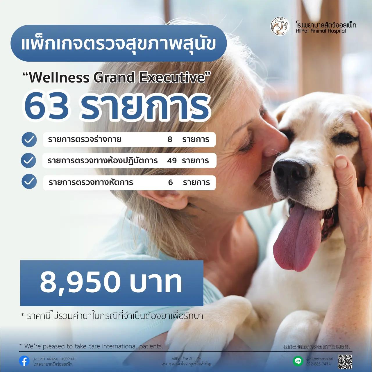 ตรวจสุขภาพ น้องสุนัข ประจำปี แพ็คเกจ Wellness Grand Executive