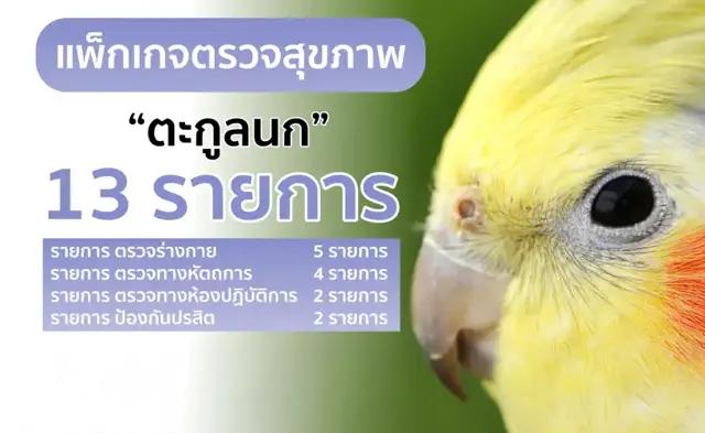 แพ็คเกจ ตรวจสุภาพนก