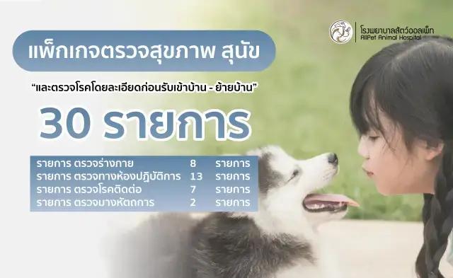 แพ็คเกจตรวจสุขภาพ สุนัข ก่อนรับเข้าบ้าน - ย้ายบ้าน