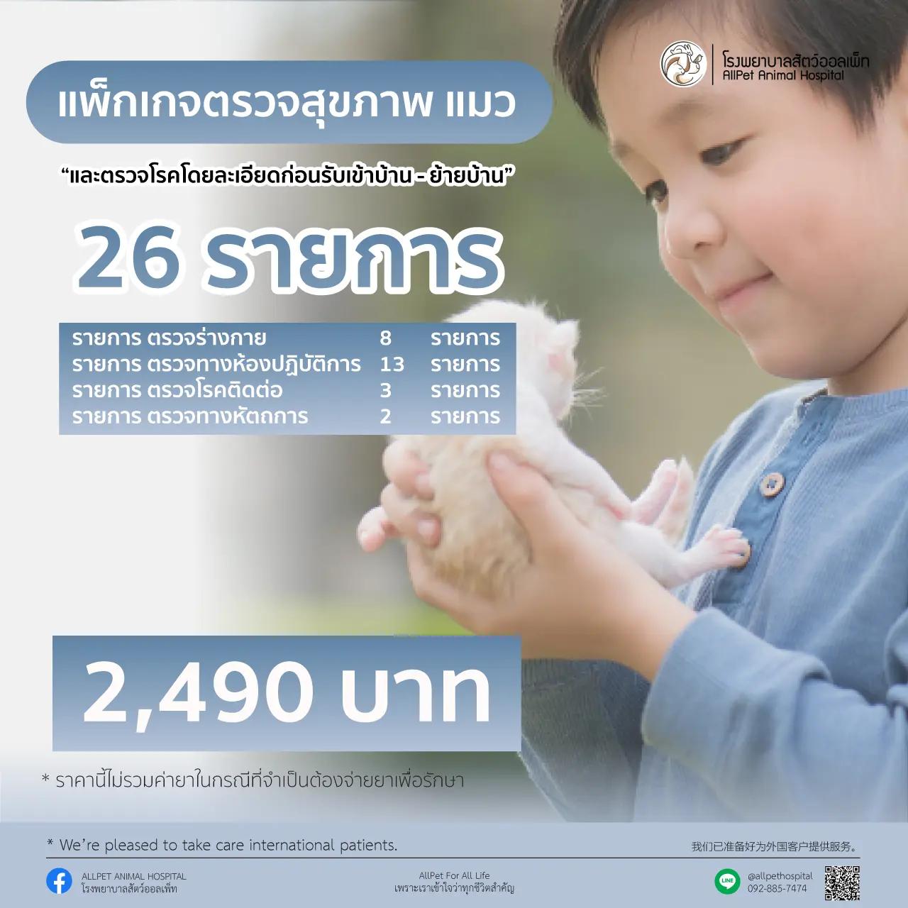 แพ็คเกจตรวจสุขภาพ แมว ก่อนรับเข้าบ้าน - ย้ายบ้าน