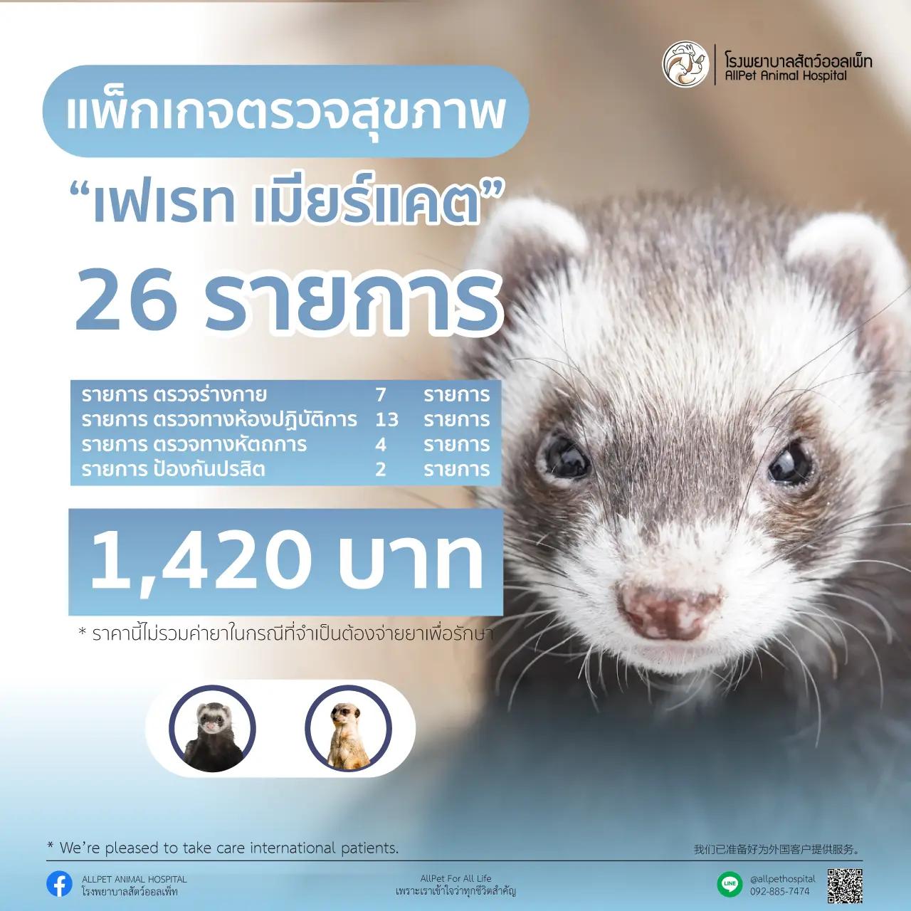 แพ็คเกจ ตรวจสุภาพ เฟอเรท และเมียร์แคต