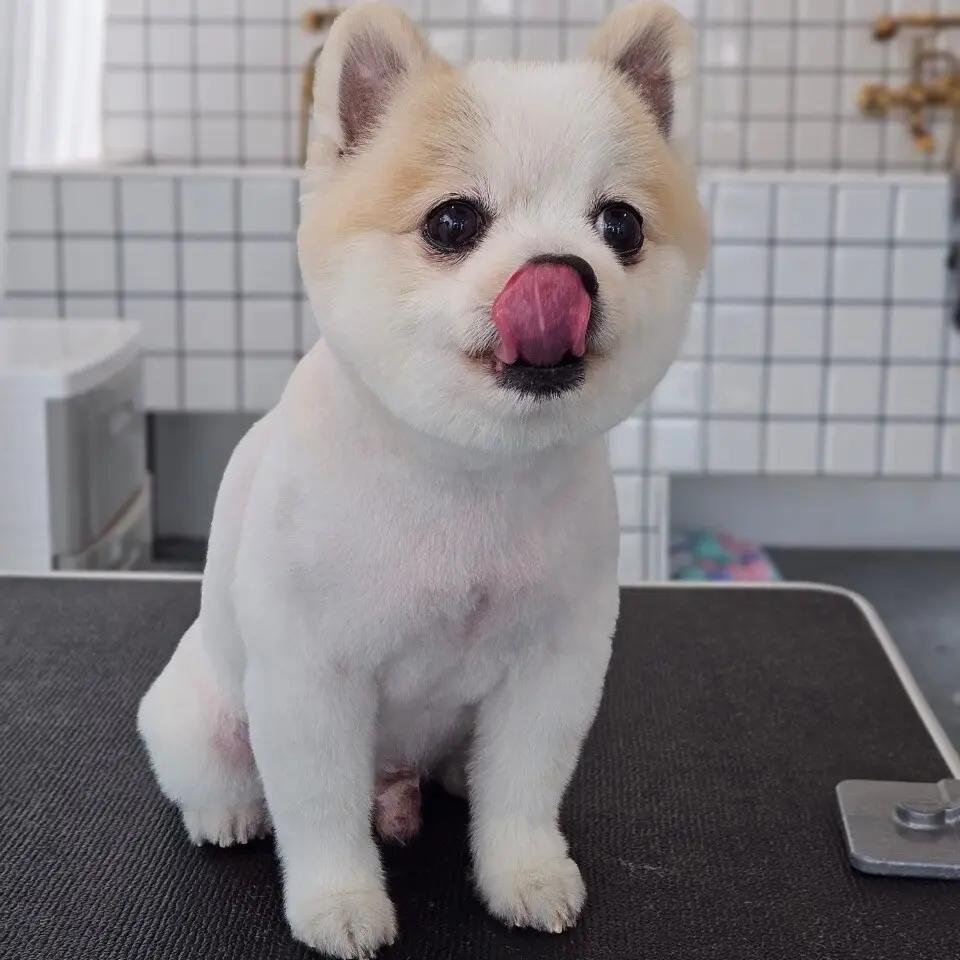 Teeth Brushing