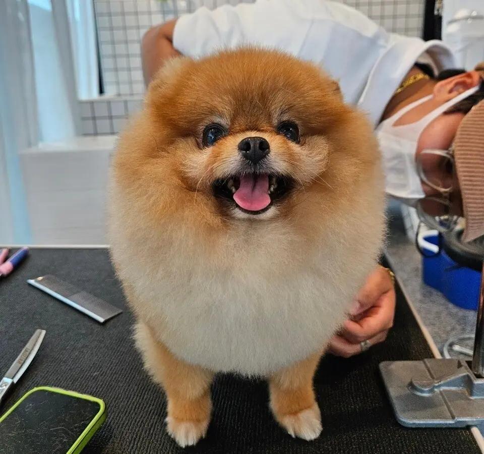 Nail Clipping and Nail File