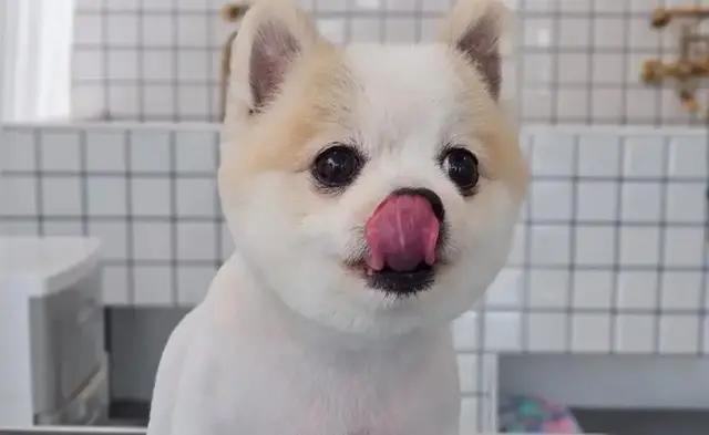 Teeth Brushing