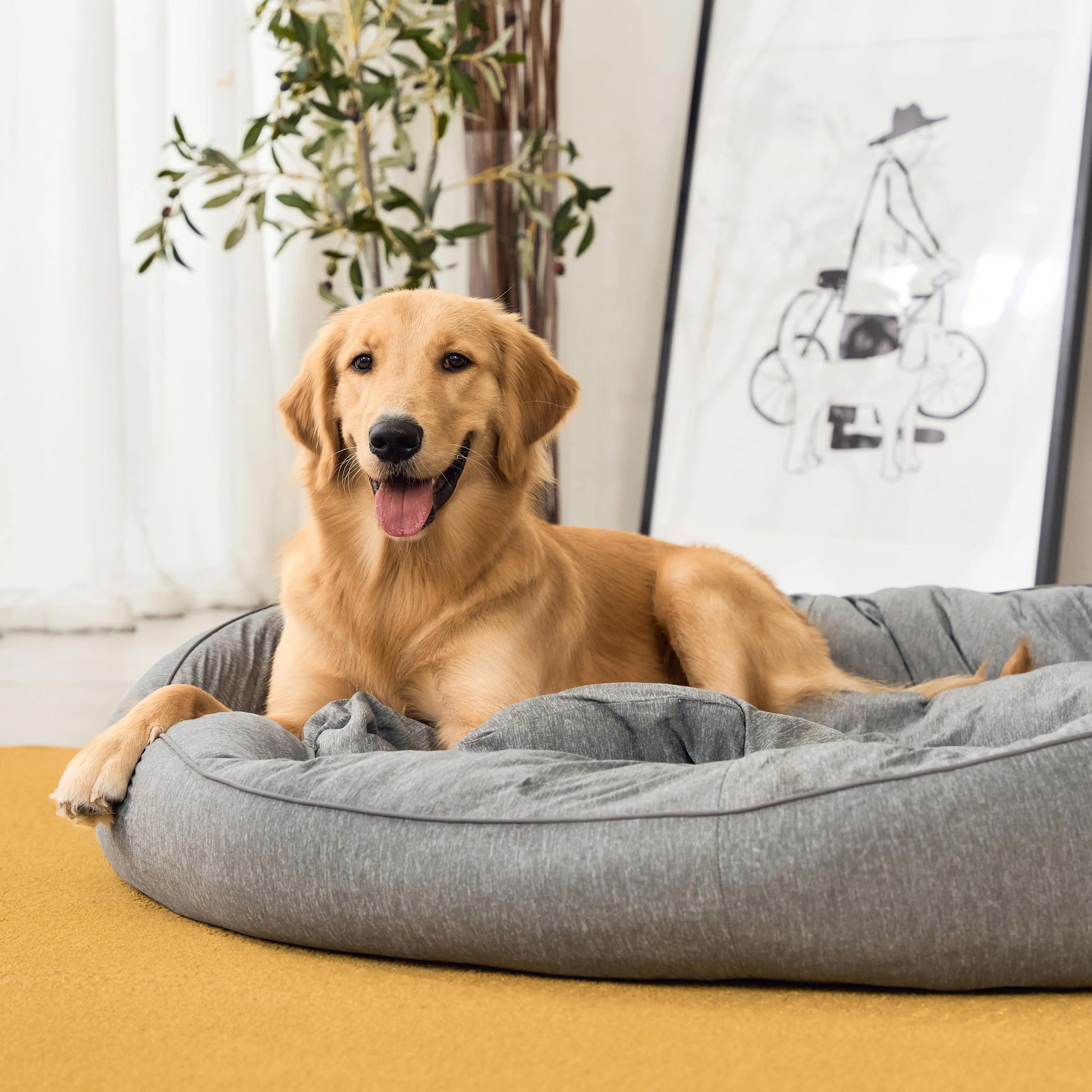Suimin Cool Pet House เบาะนอนสัตว์เลี้ยง Size XL