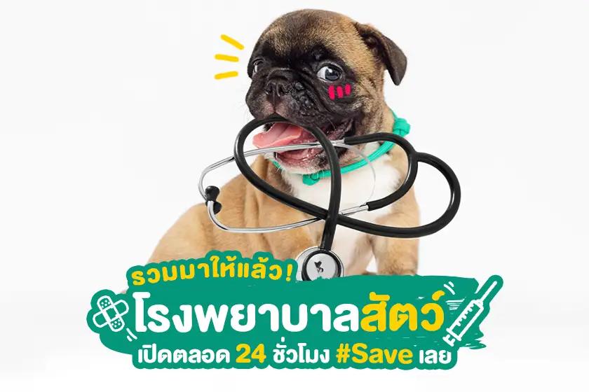 รวมมาให้แล้ว! โรงพยาบาลสัตว์เปิดตลอด 24 ชั่วโมง #Save เลย