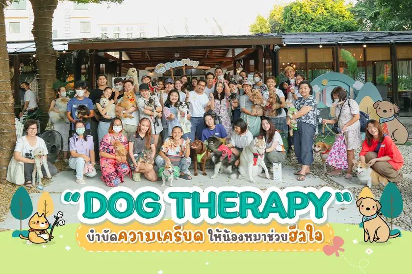 ภาพความประทับใจงาน Dog Therapy บำบัดความเครียด ให้น้องหมาช่วยฮีลใจ