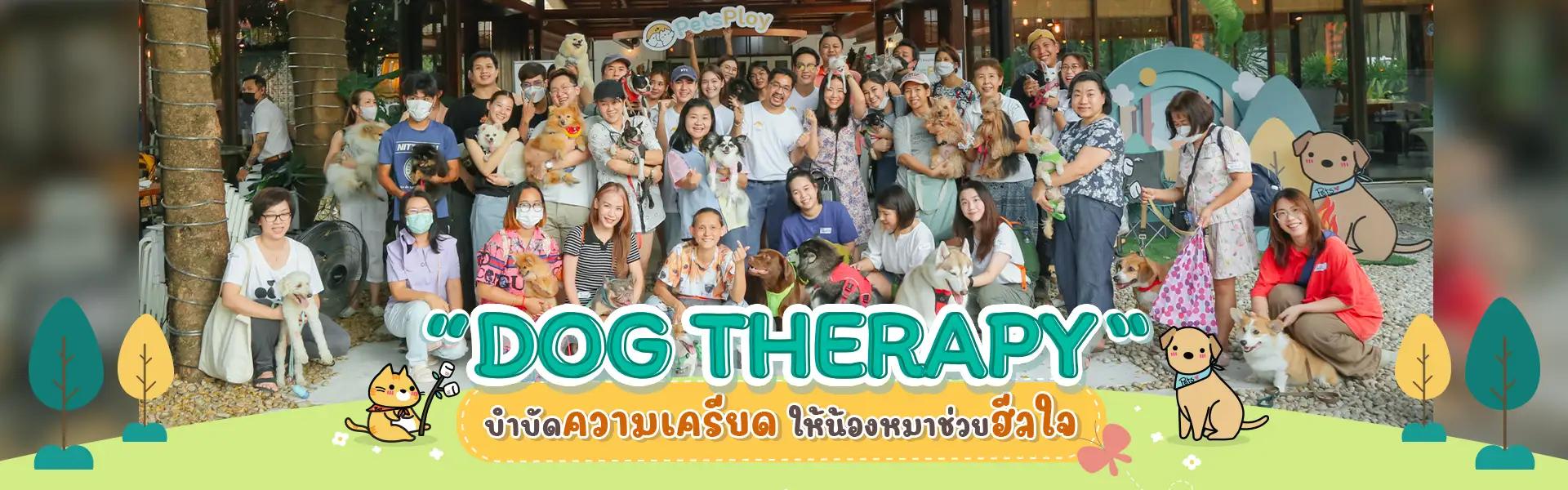 Article Banner