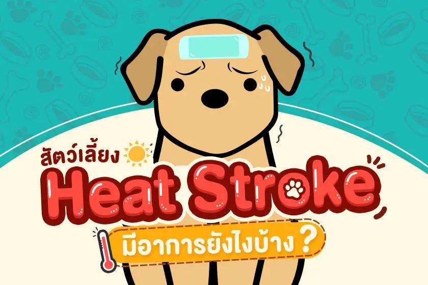 สัตว์เลี้ยง Heat Stroke มีอาการยังไงบ้าง?