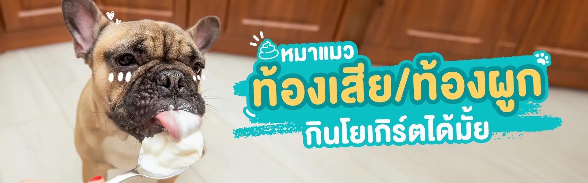 Article Banner
