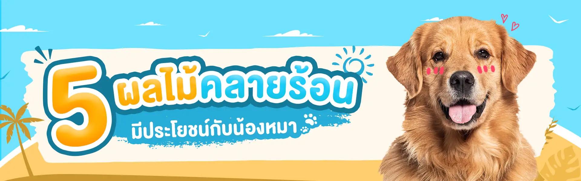 Article Banner