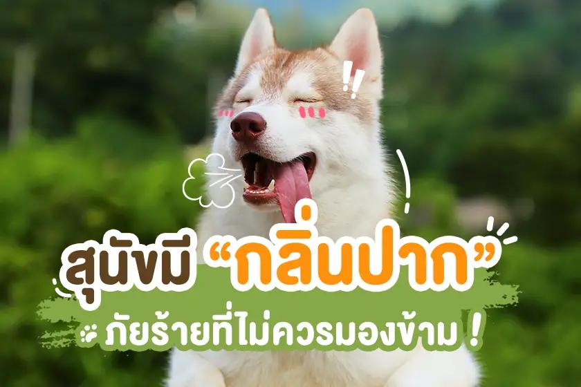 สุนัขมีกลิ่นปาก ภัยร้ายที่ไม่ควรมองข้าม!