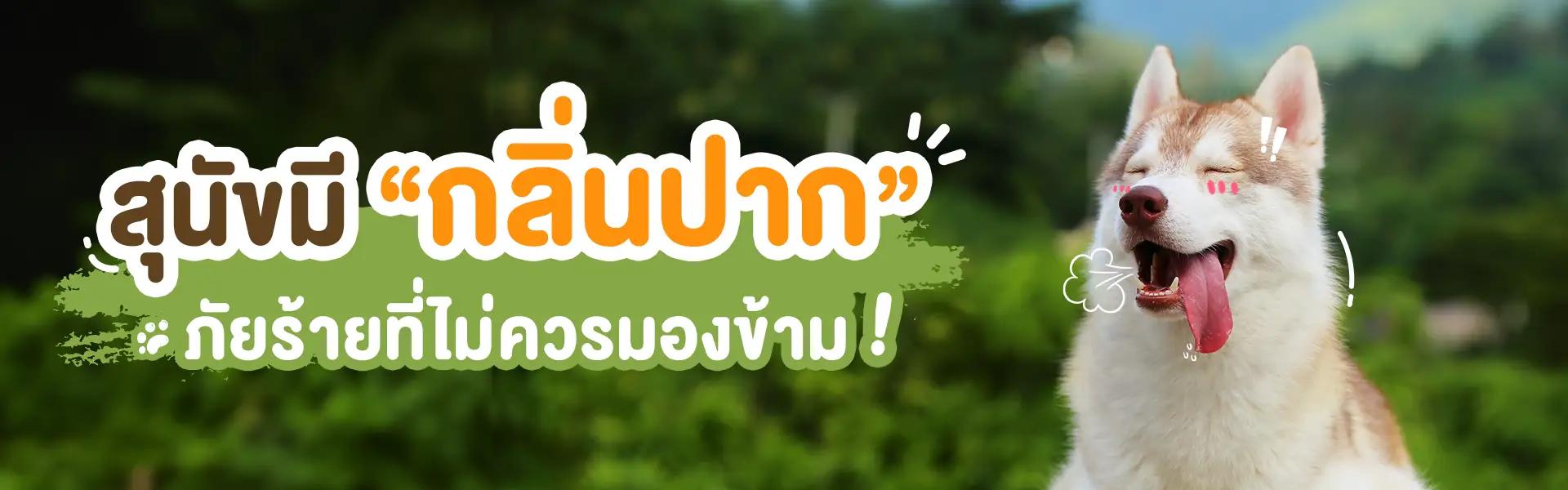 Article Banner