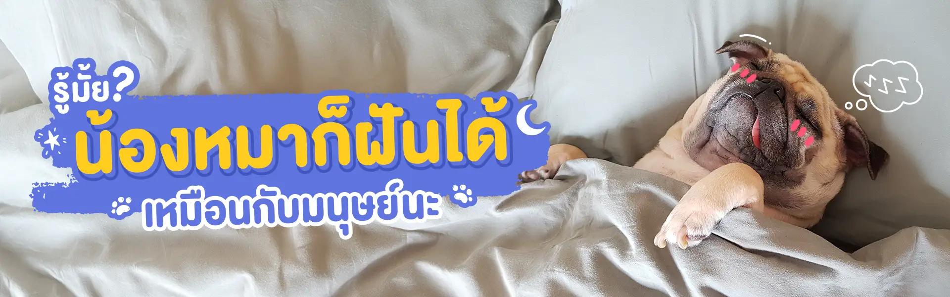 Article Banner