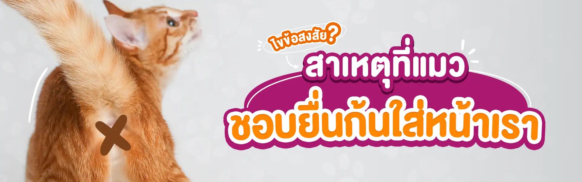 Article Banner