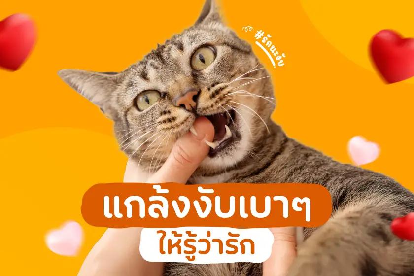 แกล้งงับเบา ๆ ให้รู้ว่ารัก #รักนะงับ