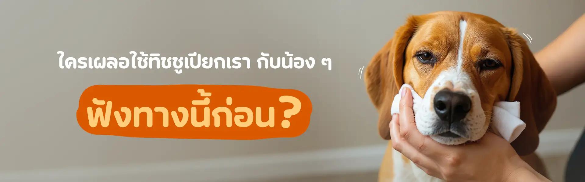 Article Banner
