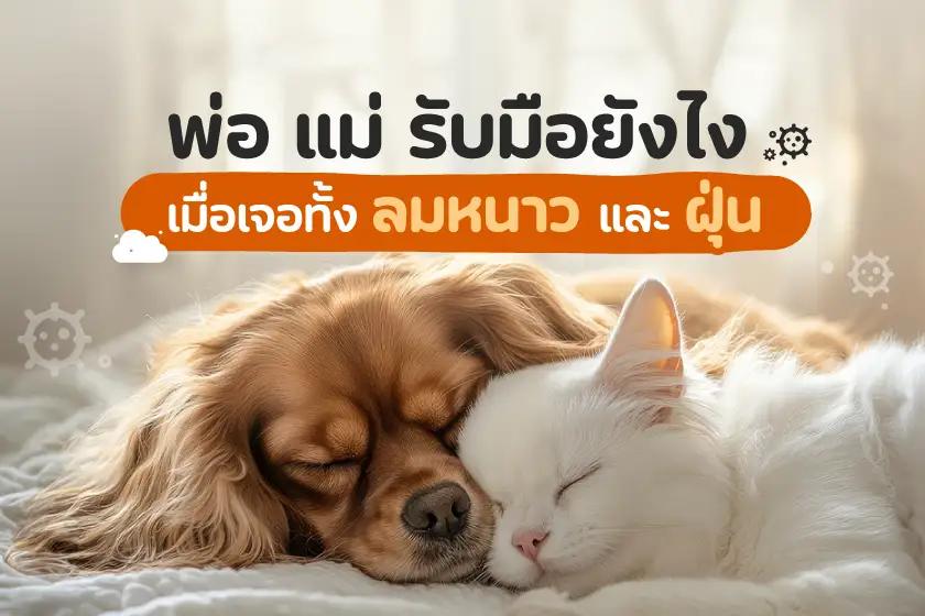 พ่อ ๆ แม่ ๆ รับมือยังไงเมื่อเจอทั้งลมหนาวและฝุ่น #กลัวลูกป่วย