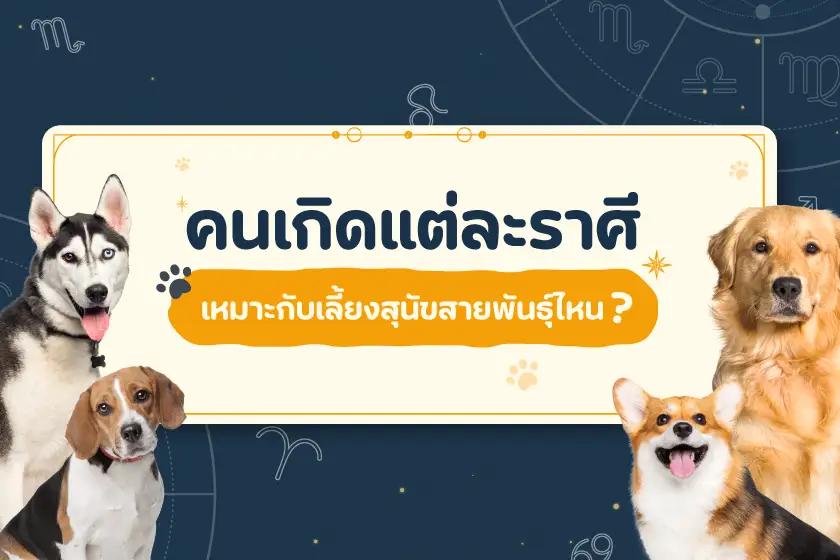 เลี้ยงให้ดี ต้องเลี้ยงให้ปัง ราศีไหนเหมาะกับน้องหมาพันธุ์อะไร? 