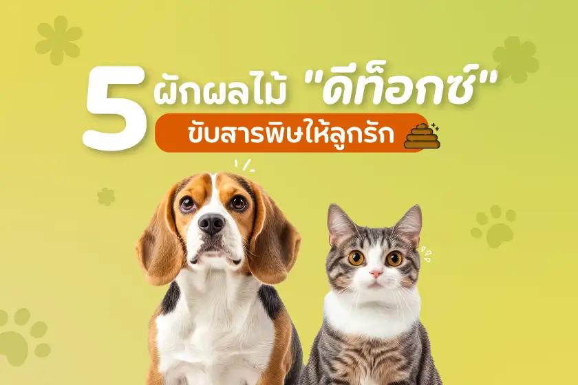 5 ผักผลไม้ ดีท็อกซ์ขับสารพิษให้ลูกรัก