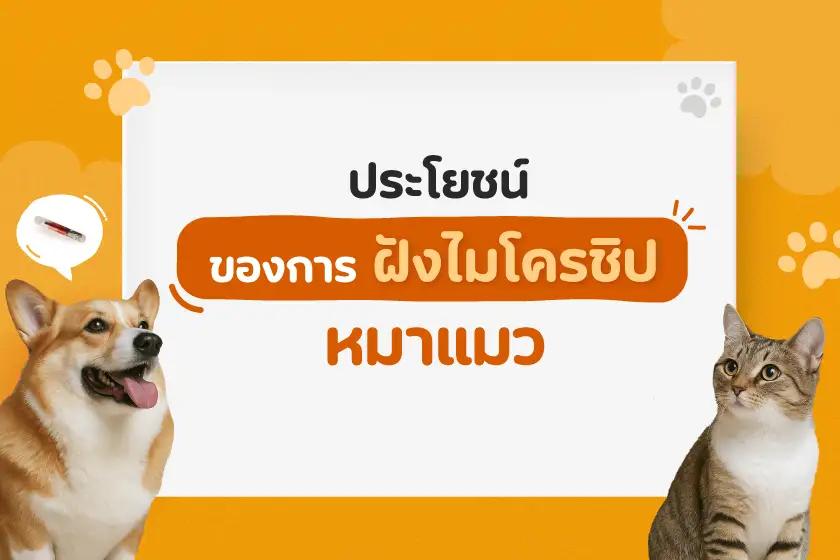 ประโยชน์ของการฝังไมโครชิปหมาแมว