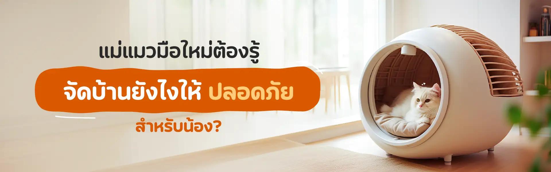 Article Banner