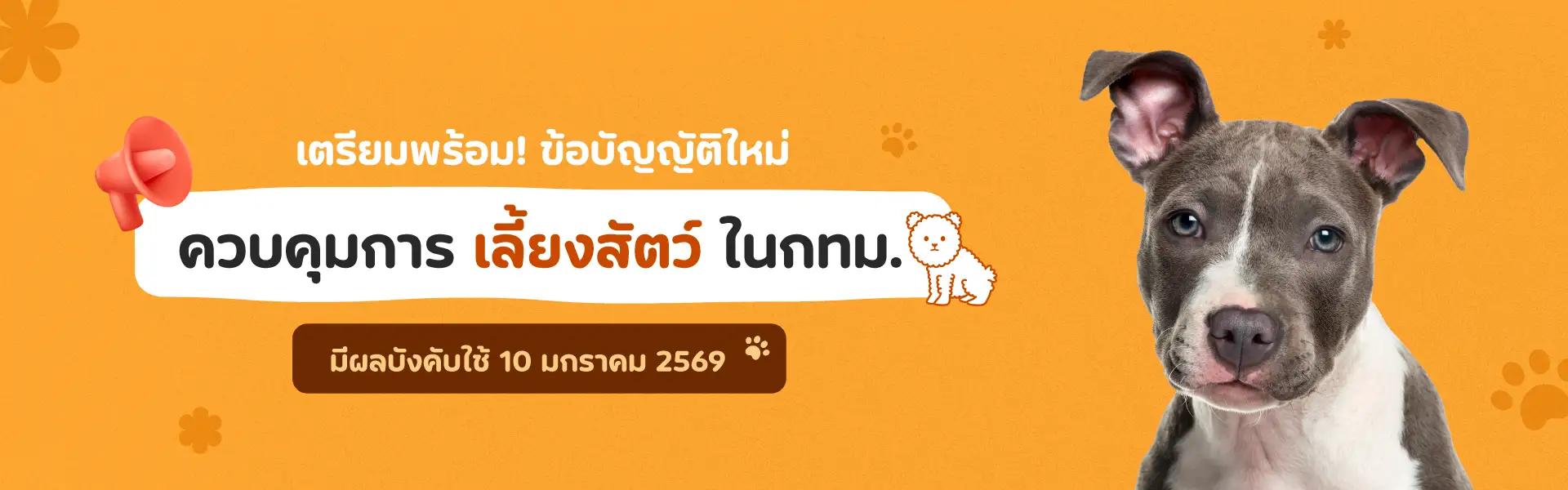 Article Banner