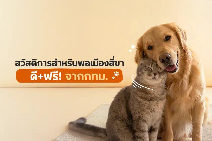 สวัสดิการสำหรับพลเมืองสี่ขา ดี+ฟรี! จากกทม.