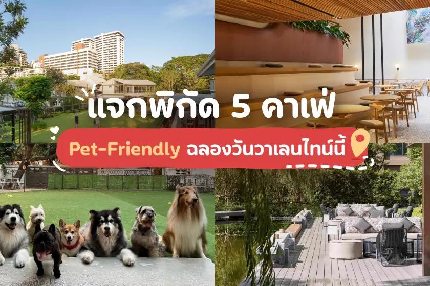 แจกพิกัด 5 คาเฟ่ Pet-Friendly  ฉลองวันวาเลนไทน์นี้