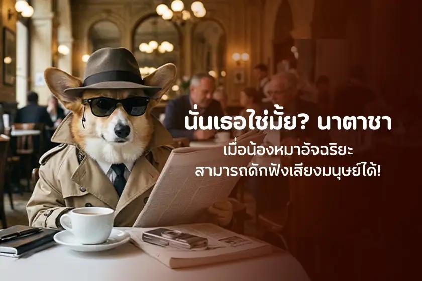 นั่นเธอใช่มั้ย? นาตาชา เมื่อน้องหมาอัจฉริยะ สามารถดักฟังเสียงมนุษย์ได้!