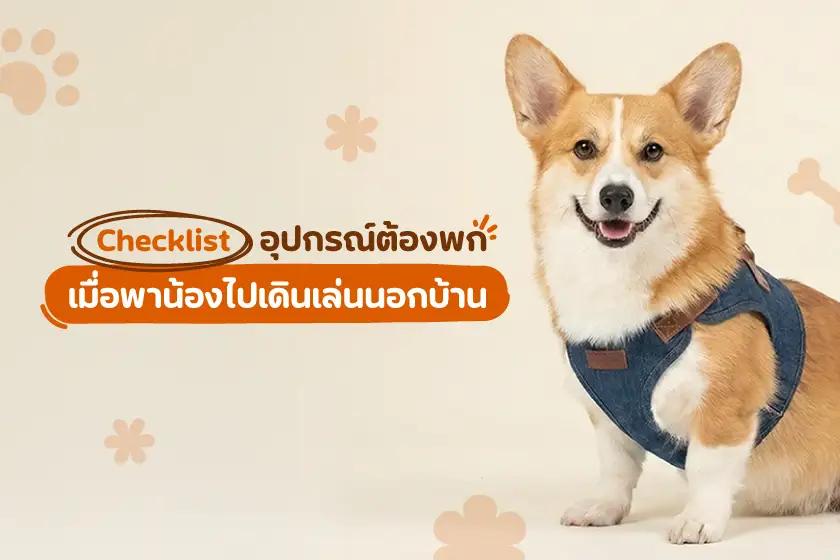 Checklist อุปกรณ์ต้องพก เมื่อพาน้องไปเดินเล่นนอกบ้าน