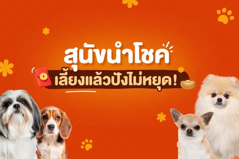 สุนัขนำโชค เลี้ยงแล้วปังไม่หยุด!