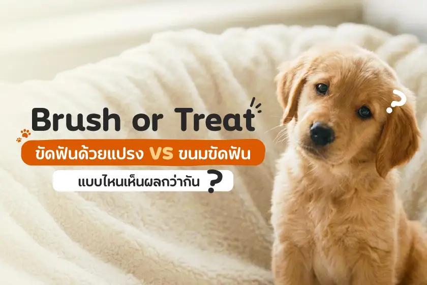 Brush or Treat?  ขัดฟันด้วยแปรง vs ขนมขัดฟัน  แบบไหนเห็นผลกว่ากัน?
