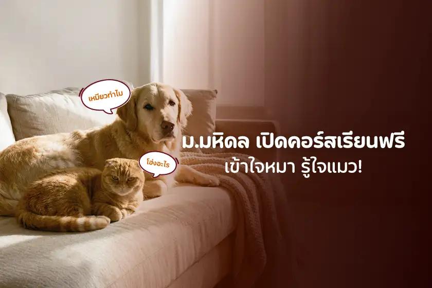 ม.มหิดล เปิดคอร์สเรียนฟรี เข้าใจหมา รู้ใจแมว!