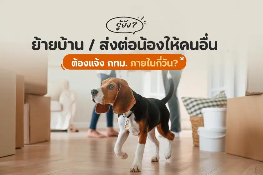 รู้ยัง??? ย้ายบ้านหรือส่งต่อน้องให้คนอื่น  ต้องแจ้ง กทม. ภายในกี่วัน?