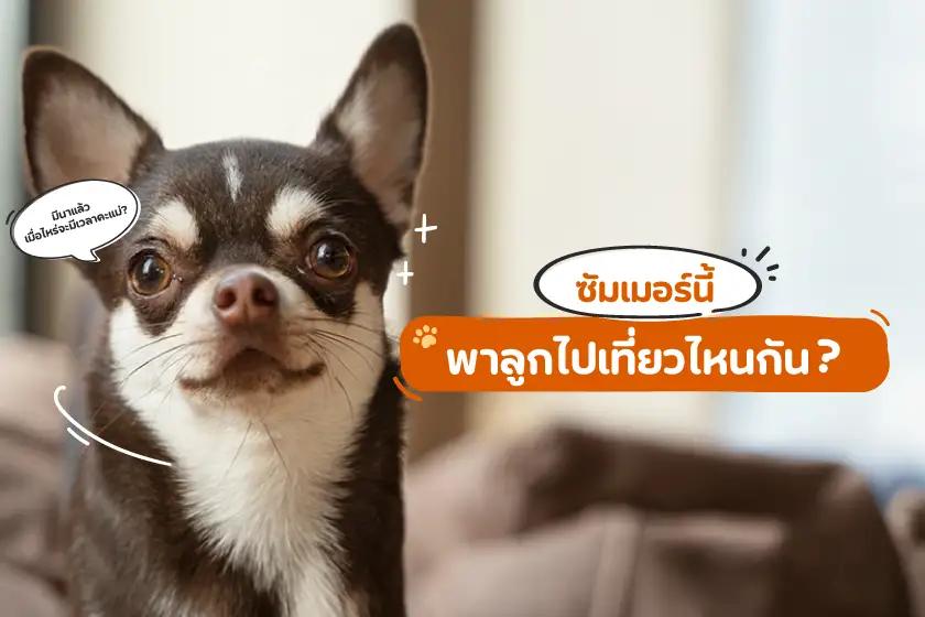 ซัมเมอร์นี้พาลูกไปเที่ยวไหนกัน?