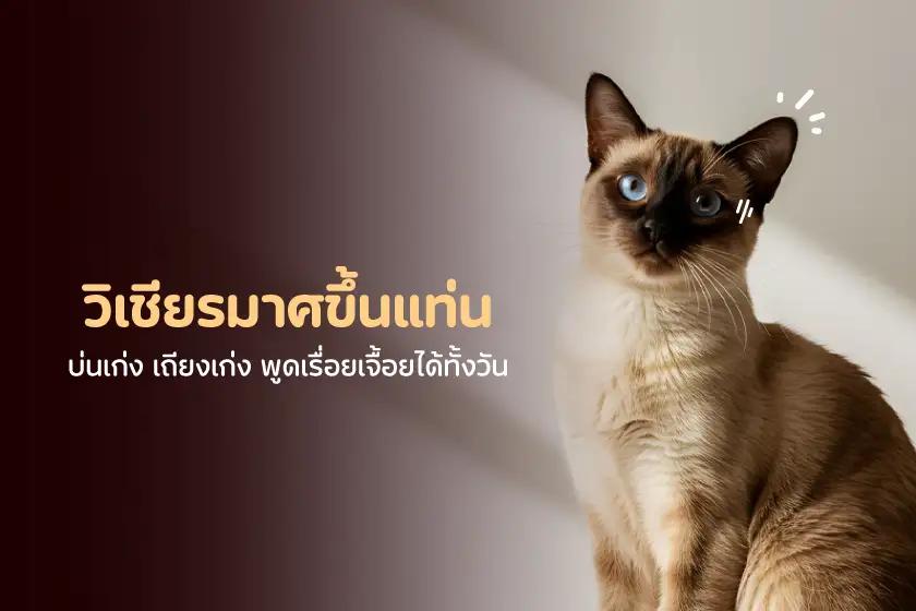 Article Banner