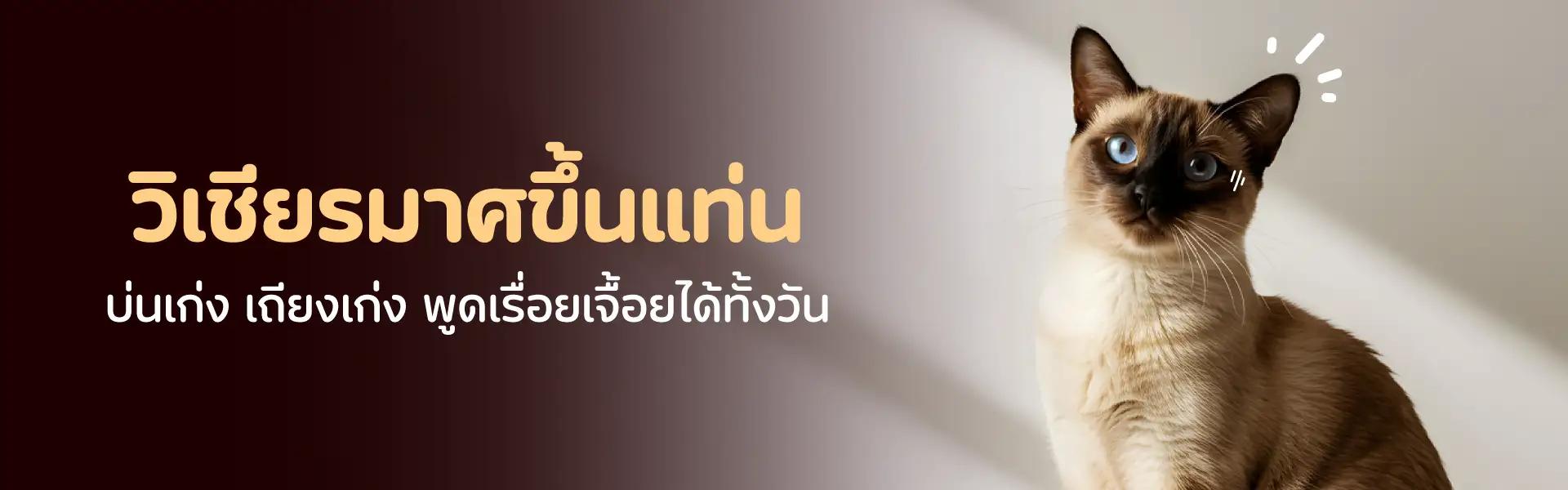 Article Banner