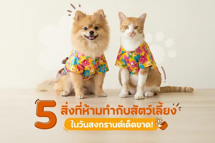 Article Banner