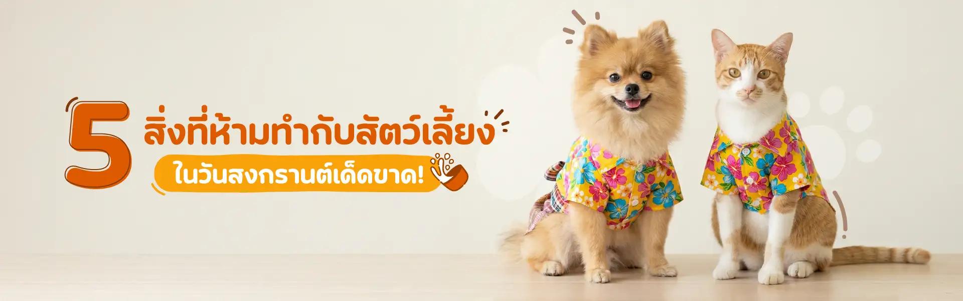 Article Banner