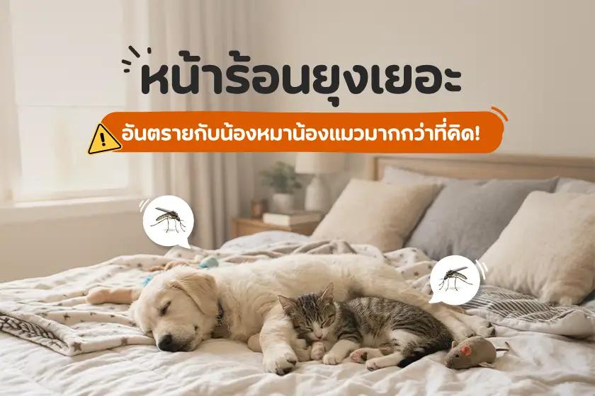 Article Banner