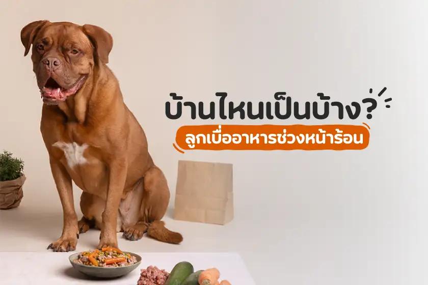 Article Banner