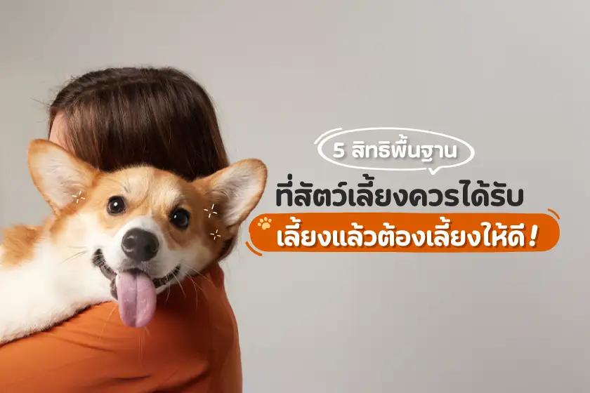 Article Banner