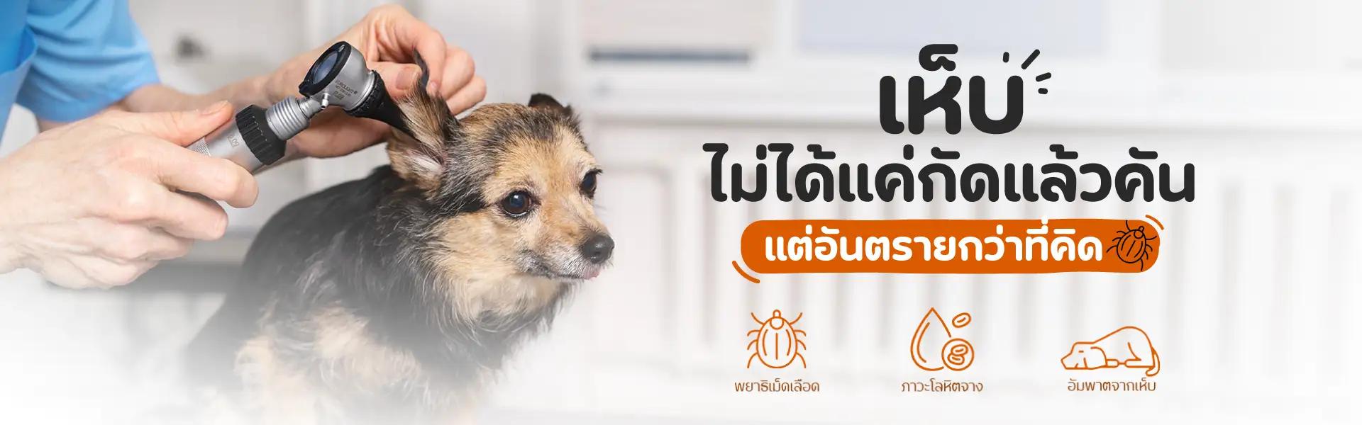 Article Banner